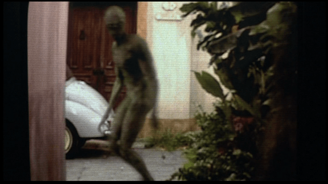 vlcsnap-2017-08-28-22h08m56s348