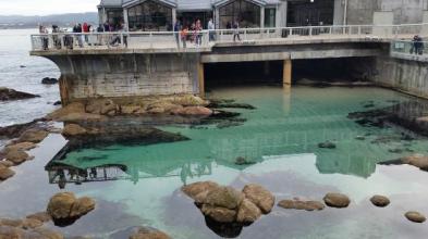 monterey-bay-aquarium