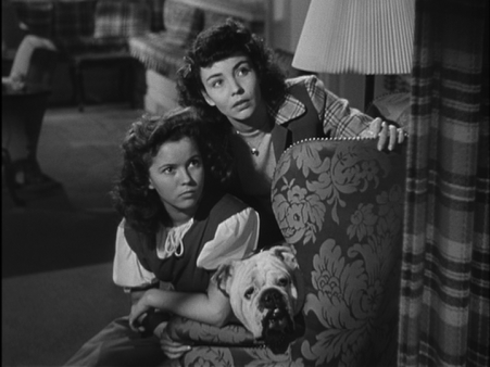 vlcsnap-2018-03-31-16h36m13s468