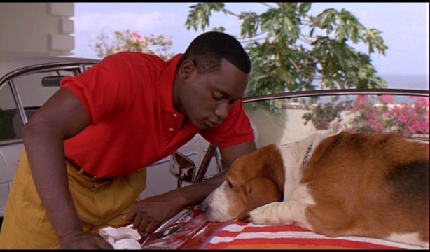 vlcsnap-2018-07-09-12h39m27s449