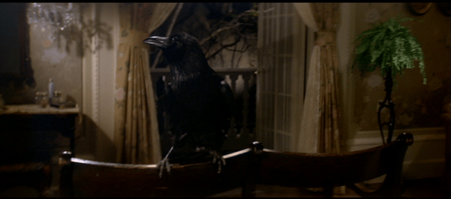 vlcsnap-2018-08-11-16h04m07s979