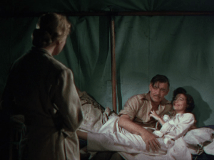 vlcsnap-2018-11-12-17h13m49s248