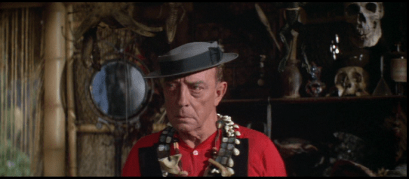 vlcsnap-2019-02-18-13h05m09s445