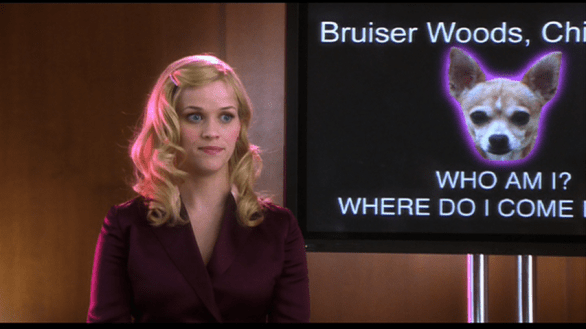 vlcsnap-2019-02-22-16h10m44s868