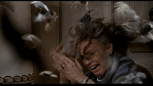 vlcsnap-2019-06-29-10h26m58s243