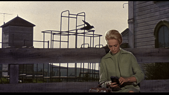 vlcsnap-2019-06-29-10h48m58s714