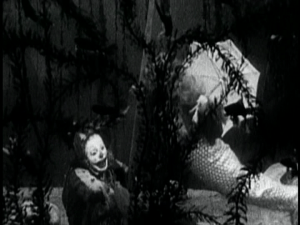 vlcsnap-2019-08-24-23h15m59s345