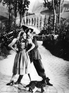 wizardofozrichardthorpe