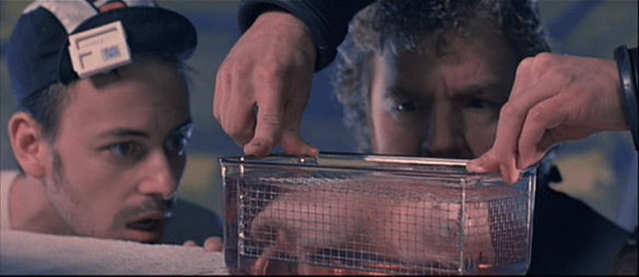 vlcsnap-2020-03-07-23h16m44s463