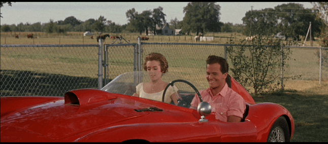 vlcsnap-2020-08-21-13h48m50s957