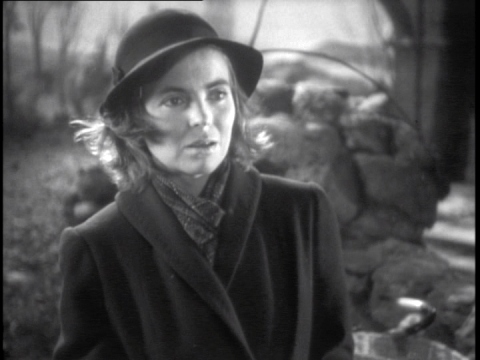 vlcsnap-2020-09-24-13h18m55s240