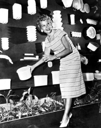 browniewisetupperware