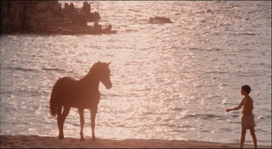 vlcsnap-2020-10-06-11h16m41s031