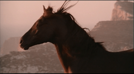 vlcsnap-2020-10-06-16h27m26s342