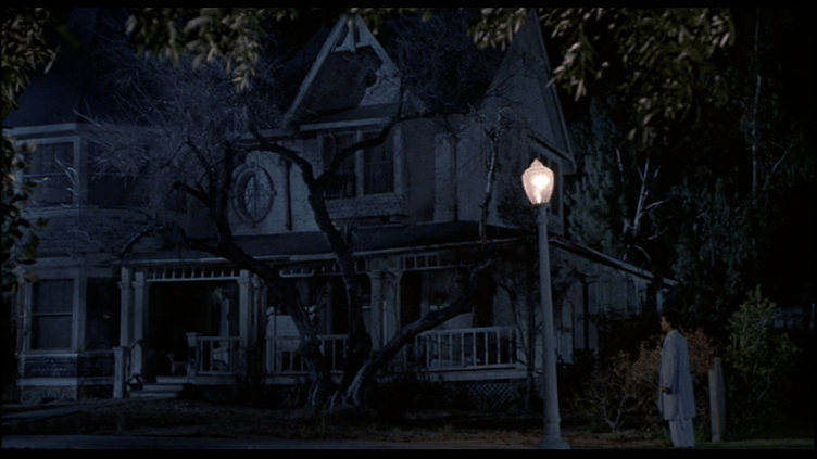 vlcsnap-2021-03-21-21h16m19s948