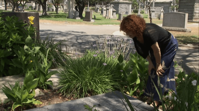 vlcsnap-2021-05-23-12h11m39s814