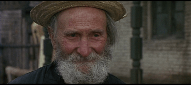 vlcsnap-2021-07-24-19h11m16s187