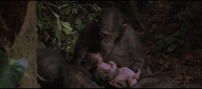 vlcsnap-2021-08-15-16h57m34s028