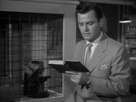 vlcsnap-2021-09-07-23h11m16s691