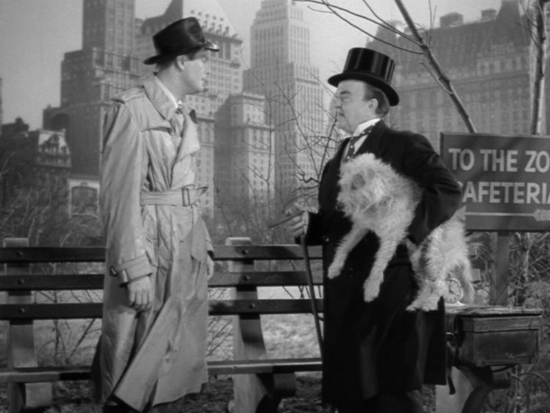 ithappenedon5thavenue2