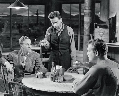 howardbogartpetrifiedforest