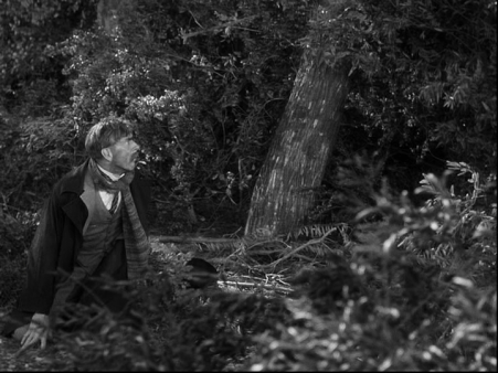 vlcsnap-2023-10-14-15h24m47s931