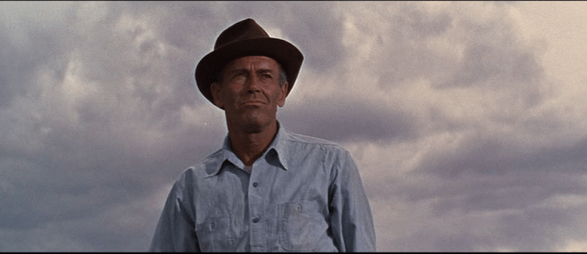 vlcsnap-2024-03-27-13h42m32s887