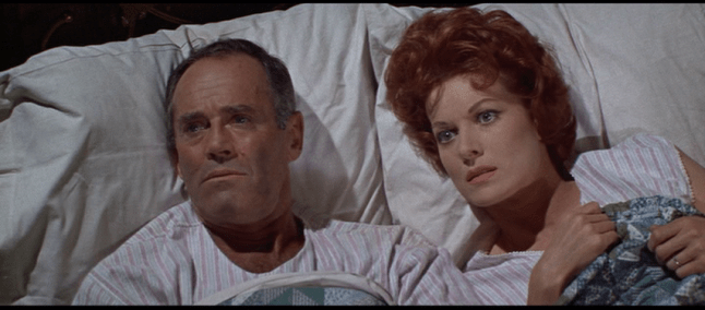 vlcsnap-2024-03-28-01h20m37s999