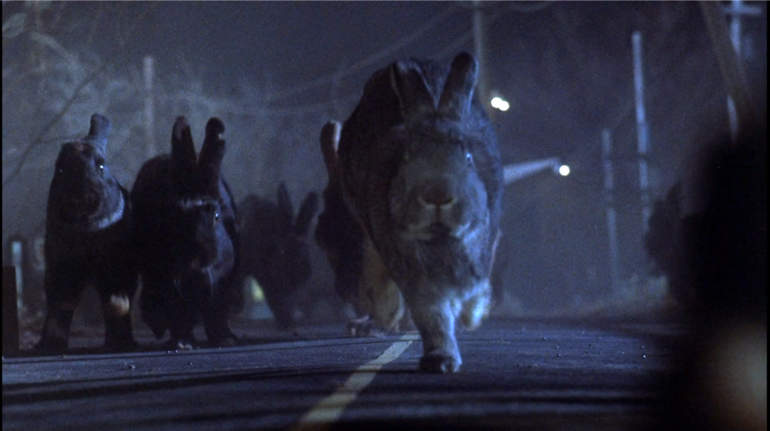 nightofthelepus10