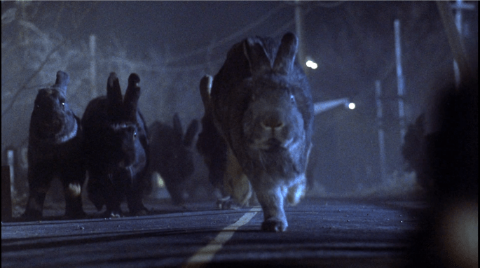nightofthelepus10