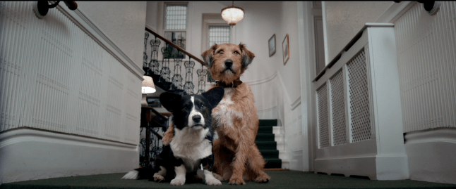 absolutelyanything10