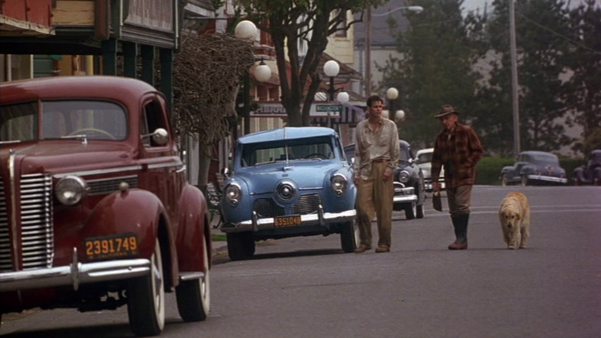 vlcsnap-2024-07-30-13h12m19s579