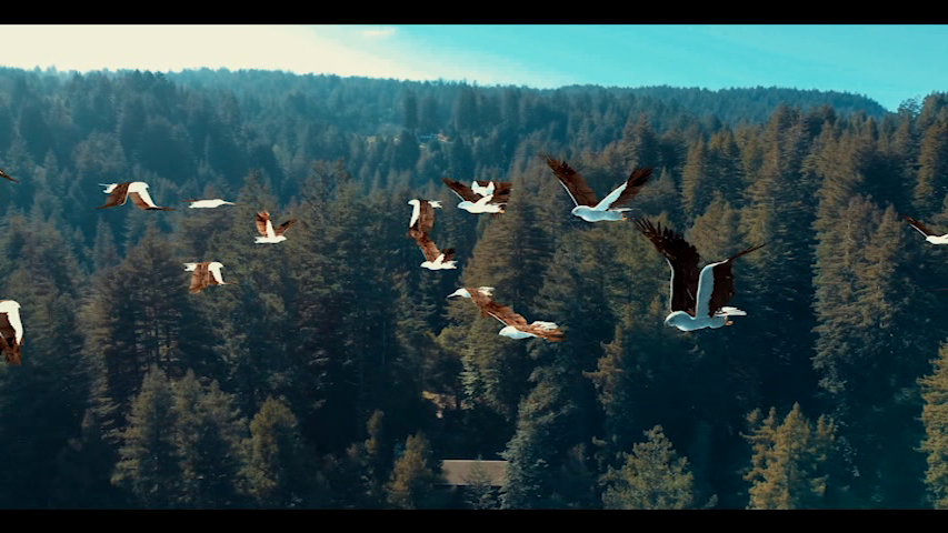 vlcsnap-2024-09-29-16h27m37s205